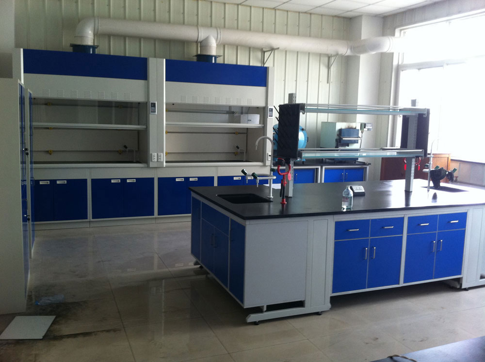 實驗室通風柜（標準型、補風型、聯(lián)體型、桌上型、落地式、不銹鋼通風柜）